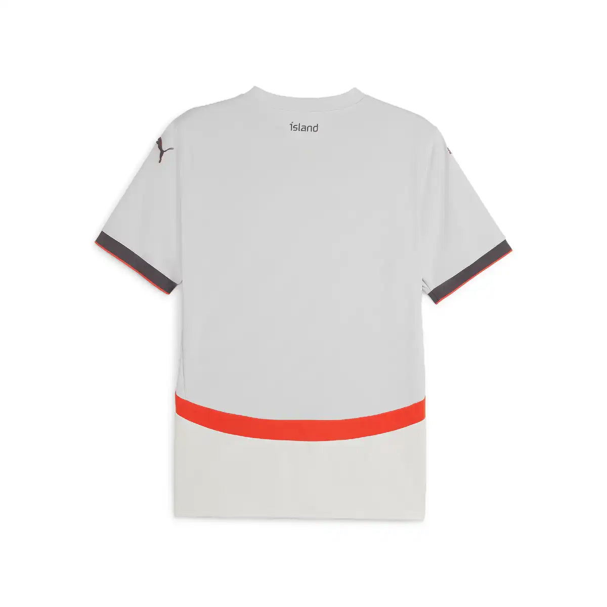 Koszulka piłkarska wyjazdowa Iceland 2024 Top Koszulki Pilka Sklep