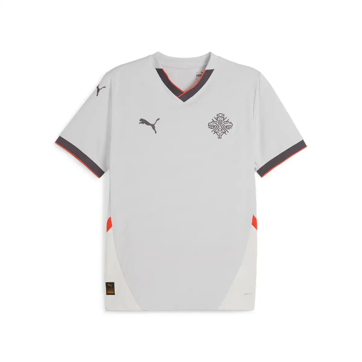 Koszulka piłkarska wyjazdowa Iceland 2024 Top Koszulki Pilka Sklep