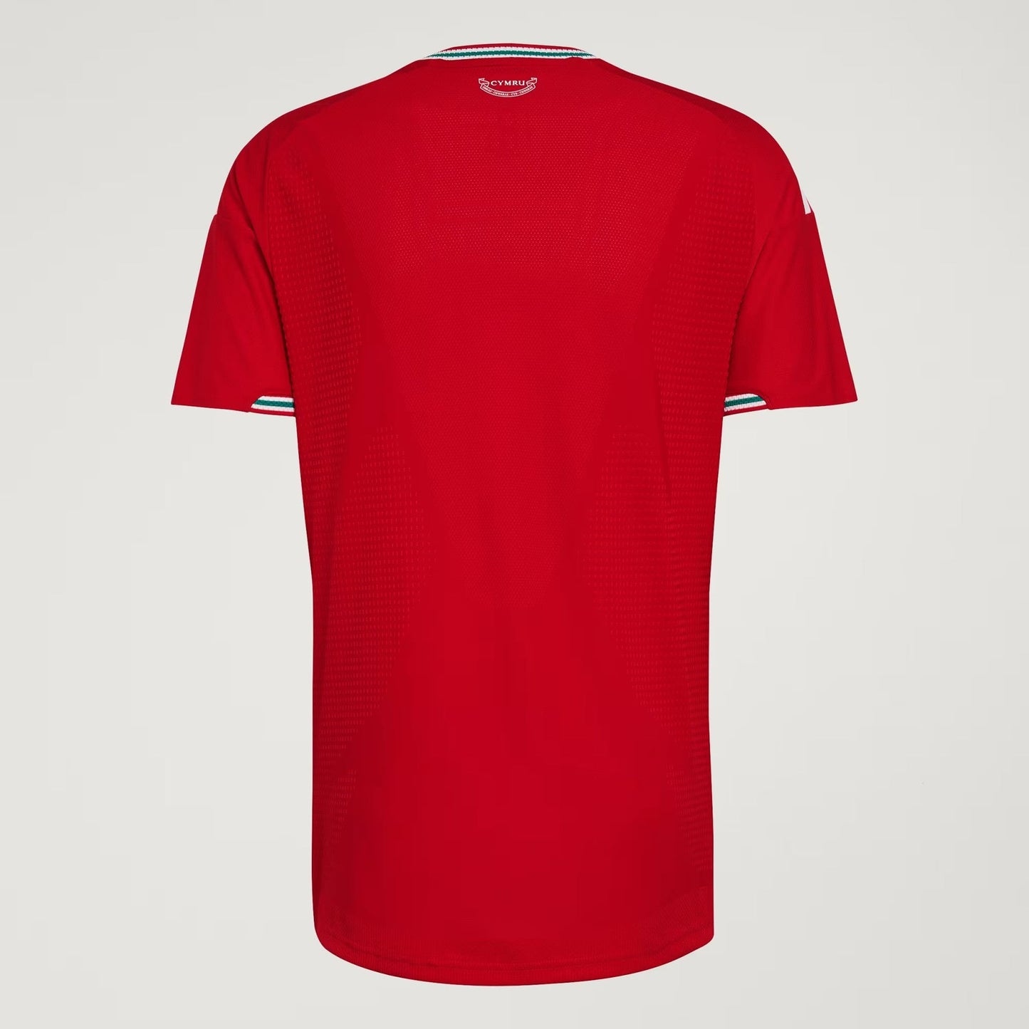 Player Version Wales Home Soccer Jersey 2026 Top Koszulki Pilka Sklep