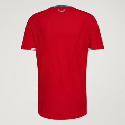 Player Version Wales Home Soccer Jersey 2026 Top Koszulki Pilka Sklep
